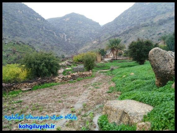طبیعت بکر و زیبای "روستای دژکوه" زادگاه حسین پناهی+ تصاویر/پایگاه خبری کهگیلویه