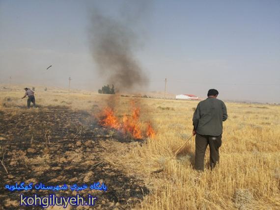 آتش سوزی وسیع اطراف شهر دهدشت/پایگاه خبری شهرستان کهگیلویه